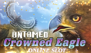 Untamed Crowned Eagle Untamed Crowned Eagle